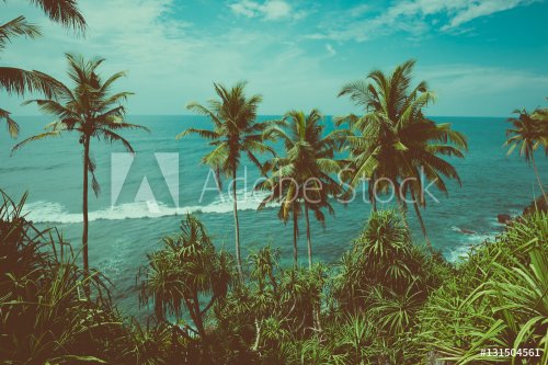Tropical coast with palm trees above the ocean, vintage toned