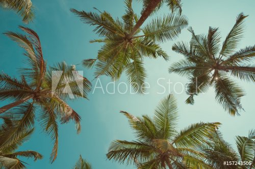 Vintage toned palms - 901154955