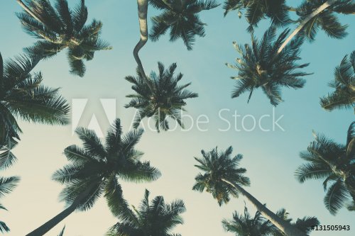 Vintage toned tropical palm trees at summer, view from bottom up to the sky
