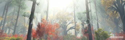 autumn forest in the morning in the fog. autumn trees in the fog. - 901155088