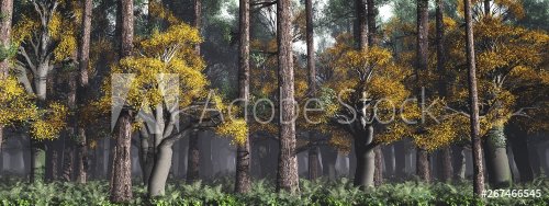 Fairy forest, beautiful trees, panorama of the morning forest, 3d rendering - 901155090