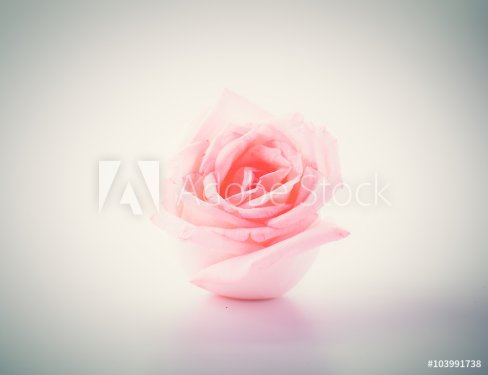Flower background - vintage effect style