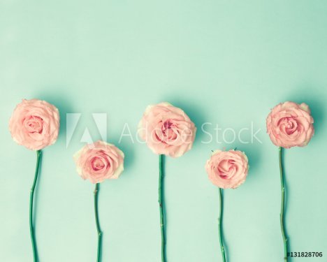 Pink roses and stems over mint background