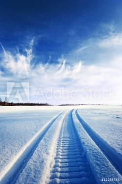 Tracks in snow - 901155086