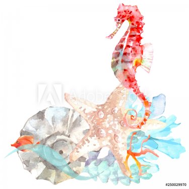 Watercolor Seahorse - 901155138
