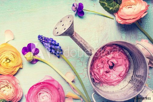 Watering can and garden flowers on vintage shabby chic background