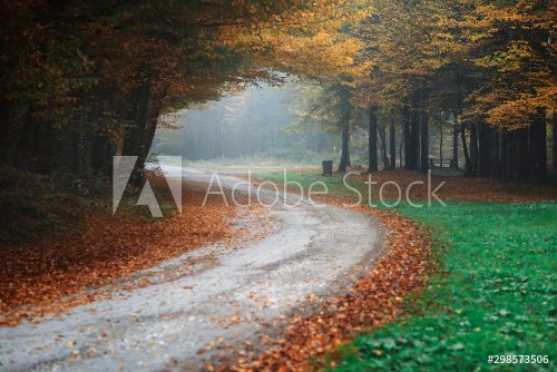 autumn landscape - 901155335