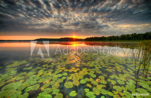 Beautiful summer sunrise over lake - 901155340