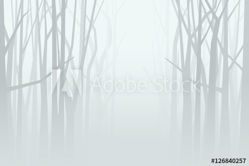 Foggy forest. Vector illustration - 901155343