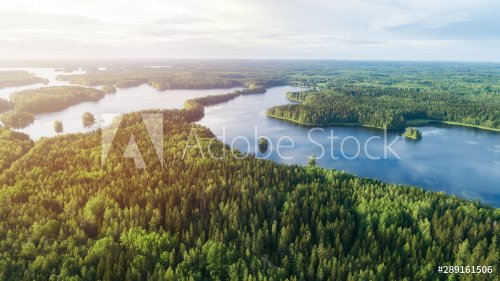 Lake system surrounded with green forest in Finland, aerial landscape - 901155342