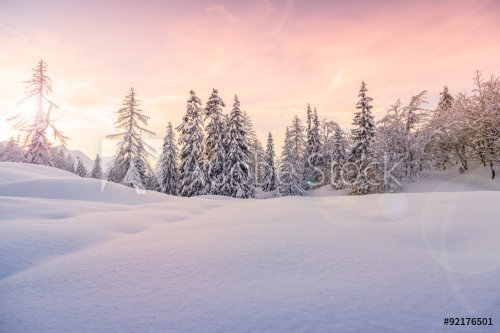 Winter landscape near Vogel ski center - 901155313