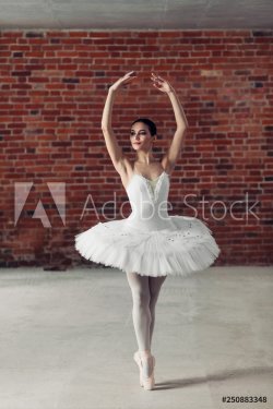 graceful young talented ballerina standing on toes and looking aside - 901155423