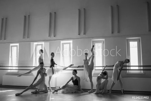 The seven ballerinas at ballet bar - 901155431