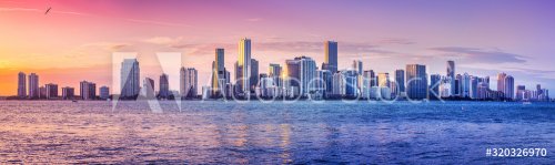 the skyline of miami while sunset