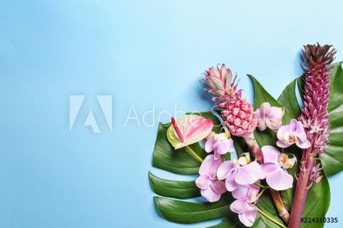 Beautiful tropical flowers and leaves on color background - 901155691