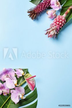 Beautiful tropical flowers and leaves on color background - 901155692