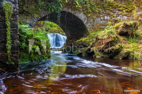 Lush River under the bridge at Torc Waterfall in Killarney National Park, Cou... - 901155676