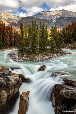 Scenic Sunwapta falls surrounded by red pine trees devastated by the pine bea... - 901155675