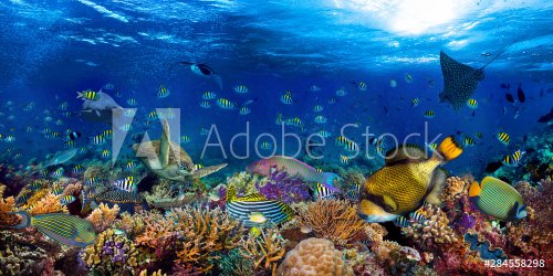 underwater coral reef landscape wide 2to1 panorama background in the deep blue ocean with colorful fish sea turtle marine wild life