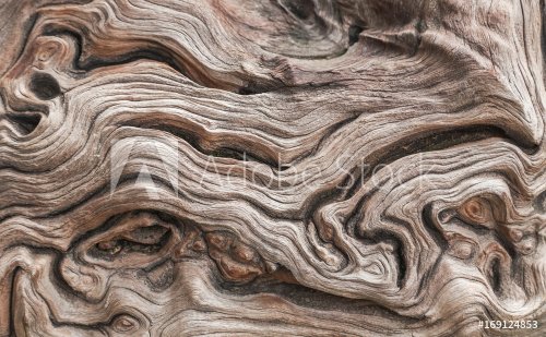 close up old aged wooden texture abstract background