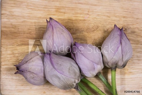 Dead lotus flowers on wooden background. Concept of fleeting nature of life.