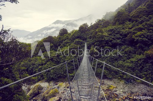 Hanging Bridge New Zealand - 901155947