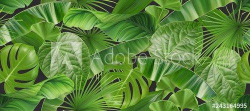 Jungle foliage seamless pattern, 3d vector realistic background - 901155980