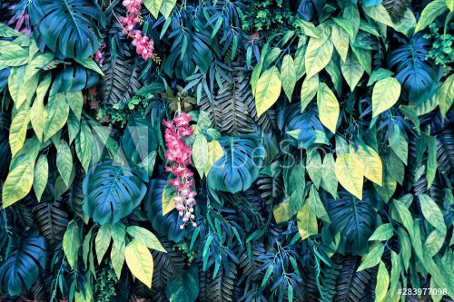 Tropical leaves and flowers background. Nature background of vertical garden with tropical green leaf