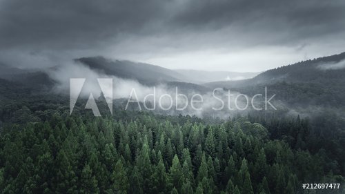 Dark and Moody Epic Winter Landscape - 901156189