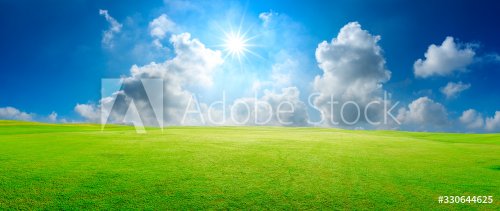 Green grass field and blue sky with white clouds,panoramic view. - 901156103