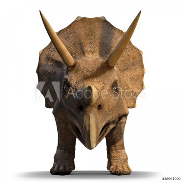 3d Triceratops dinosaur face on - 900459018