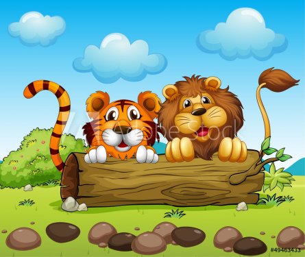 A lion and a tiger hiding - 901137825