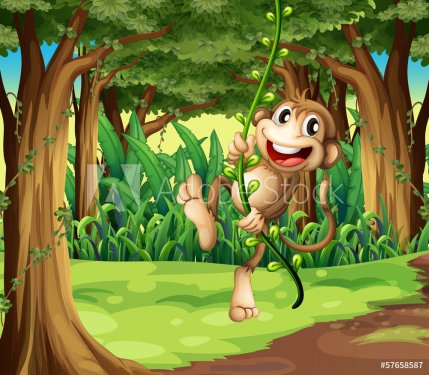 A monkey playing with the vine trees in the middle of the forest