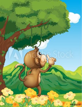 A monkey wondering in the forest - 901137827