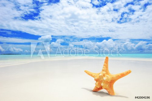 A starfish on a beach, cloudy sky and turquoise sea at Kuredu is