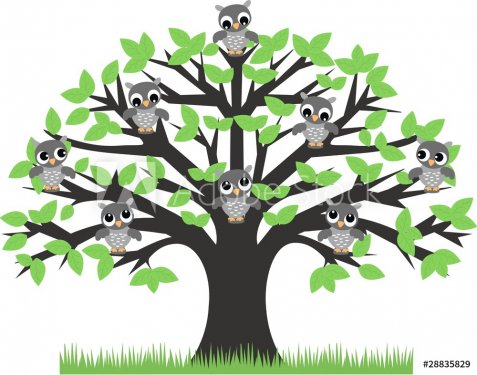 a tree full of owls