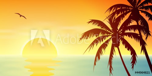 A Tropical Sunset, Sunrise with Palm Trees