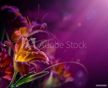 abstract floral background.With copy-space - 900072434