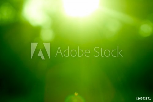 Abstract green forest defocused with sunbeam - 900000573