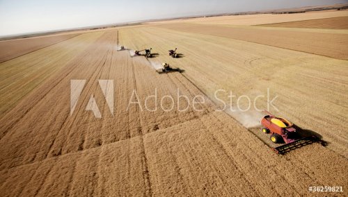 Aerial Harvest Landscape
