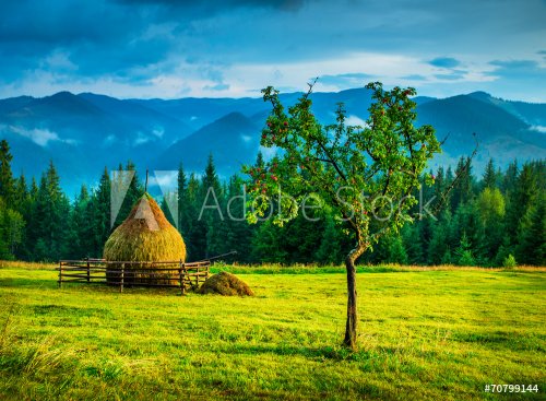 Amazing mountain landscape with fog and a haystack - 901144356