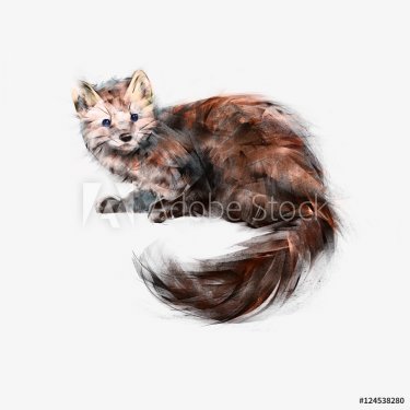 animal weasel art isolated - 901153559