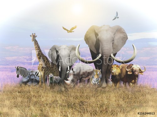 Animals of Africa and a domestic cat leave the heat. Wallpapers for walls and interior. 3D rendering.