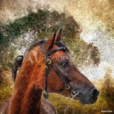 Arabian horse portrait. Simulation in old painting style - 900458898