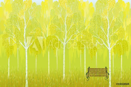 Autumn birches - 900461635