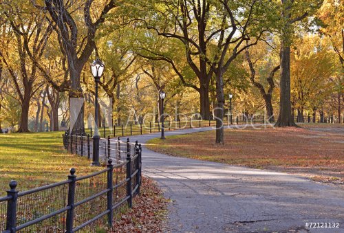 Autumn Color: Fall Foliage in Central Park, Manhattan New York - 901146809