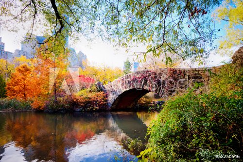 Autumn in Central Park, New York - 901140986