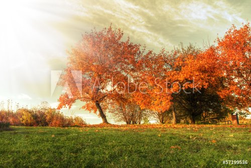 Autumn landscape - 901144939
