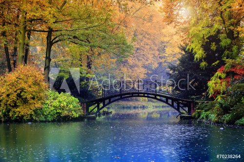 Autumn - Old bridge in autumn misty park - 901143576