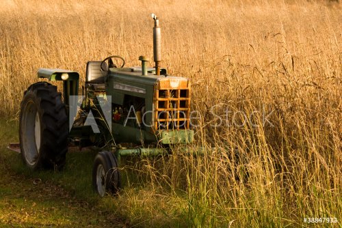 Autumn Tractor - 901148857